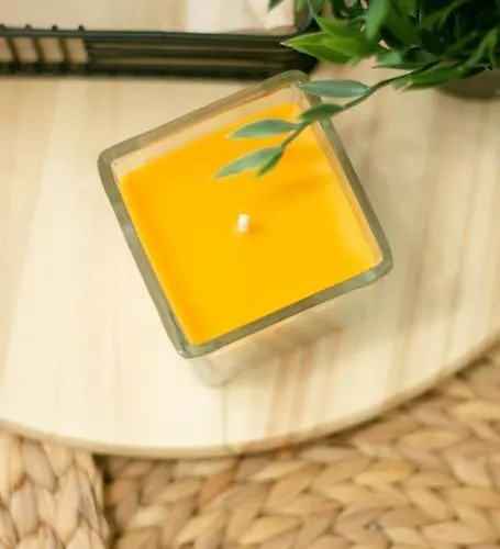 Chic&cozy In アパート ネセバル